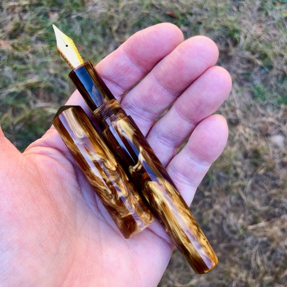 Idyll in Tortoise - Medium