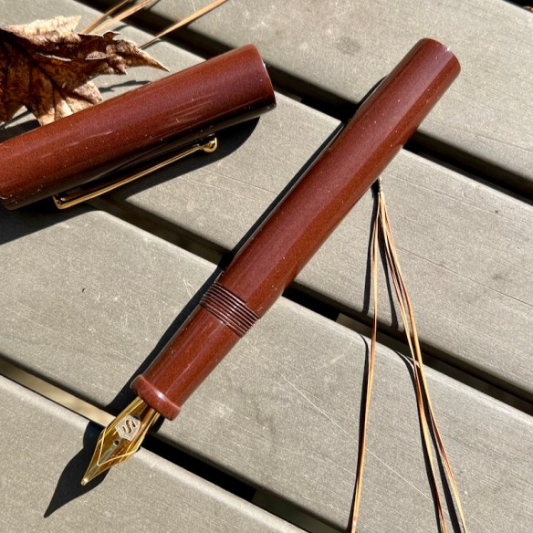 Aeterna in Rich Brown Ebonite with Exclamation Clip - Medium